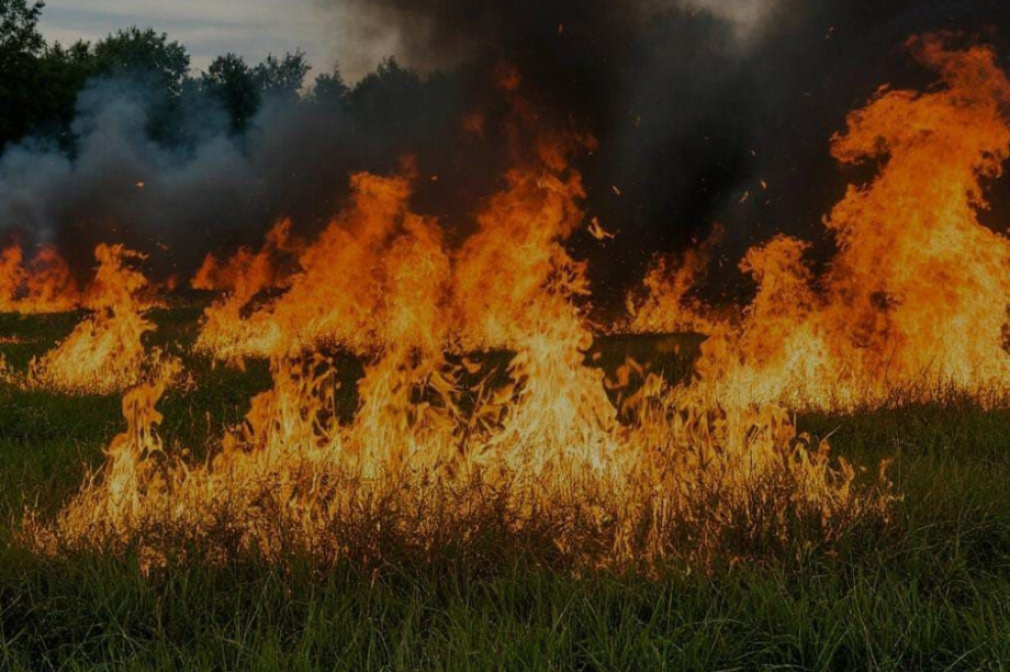 На части Камчатки ввели запрет на посещение лесов. Фото: ГУ МЧС России по Камчатскому краю