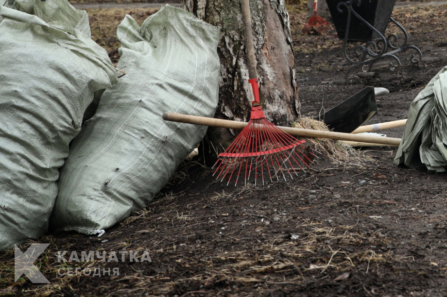 Лопаты, грабли и хорошая компания: Петропавловск выходит на четвёртый субботник. Фото: ИА "Камчатка"
