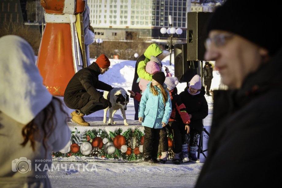 В Петропавловске-Камчатском продолжаются новогодние развлечения (фоторепортаж). Фото: «Камчатка Сегодня» \ Игорь Сафончик. Фотография 38