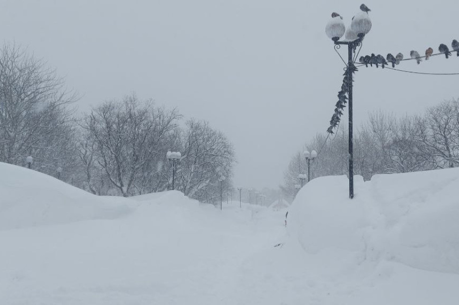 На Камчатке зима бьет рекорды 50-летней давности . Фото: «Камчатка Сегодня»