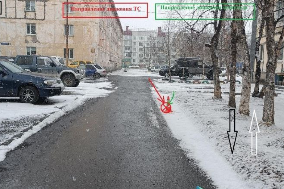 Полиция на Камчатке ищет водителя, сбившего ребенка в Елизове. Фото: Госавтоинспекция Камчатского края. Фотография 1