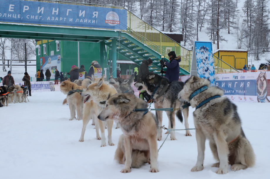 «Берингия-2021»: курс на Оссору. Фото: Виктор Гуменюк. Фотография 13
