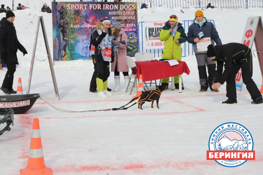 «Снежный путь – 2021». Фото: Виктор Гуменюк. Фотография 93