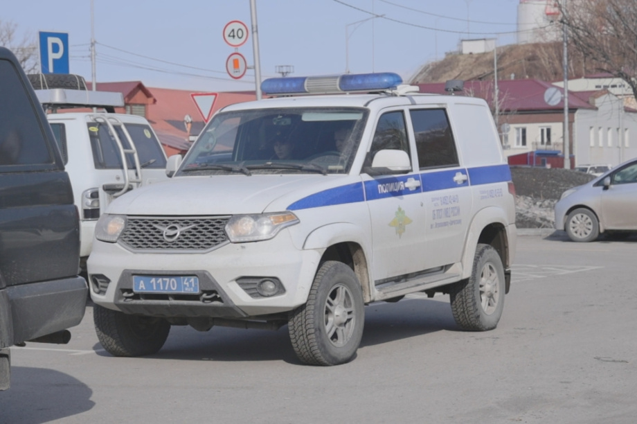 Медведь на Камчатке вышел к Култучному озеру . Фото: ИА "Камчатка", kamgov.ru. Фотография 4