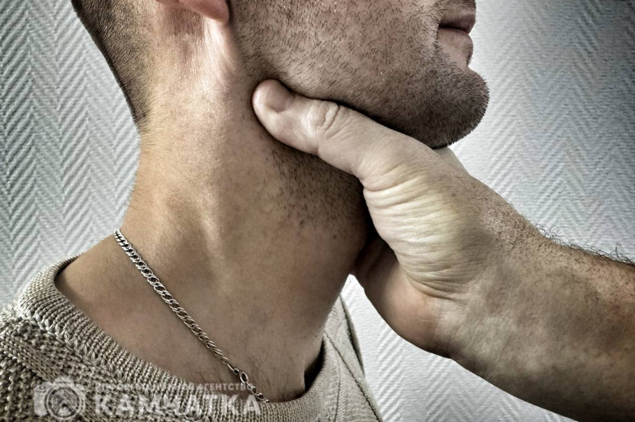 Душитель из Петропавловска-Камчатского предстанет перед судом. Фото: ИА "Камчатка"