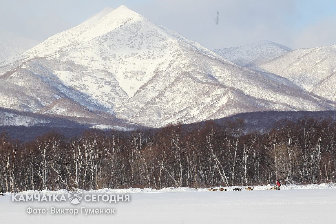 Всемирный день снега на Камчатке. фото: Виктор Гуменюк. Фотография 13