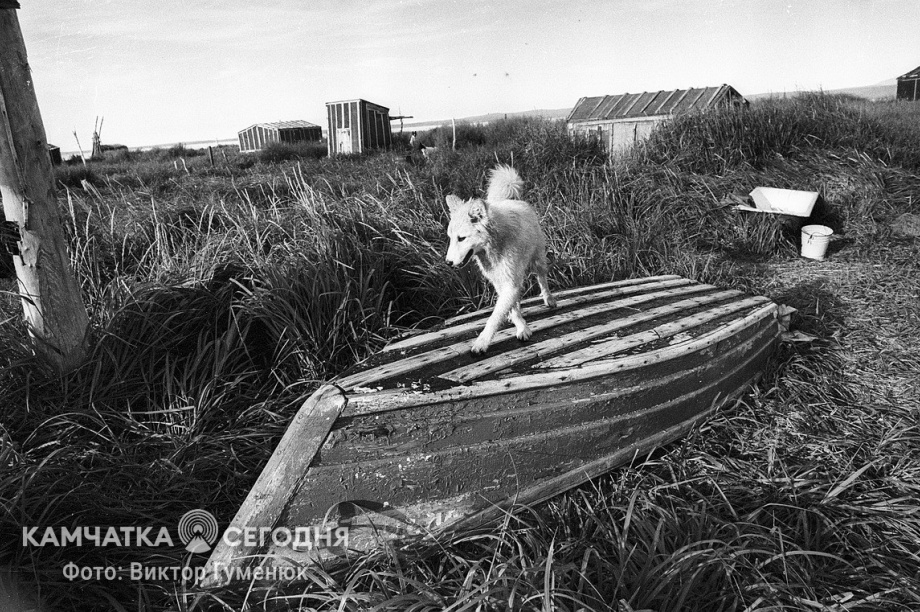 День образования Корякского округа на Камчатке. Фотоподборка. Фото: Виктор Гуменюк\ИА "Камчатка". Фотография 16
