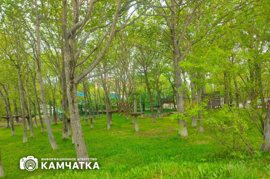 Парк на улице Пограничной в Петропавловске передадут Дворцу молодёжи. Фото: Олеся Сурина. Фотография 2