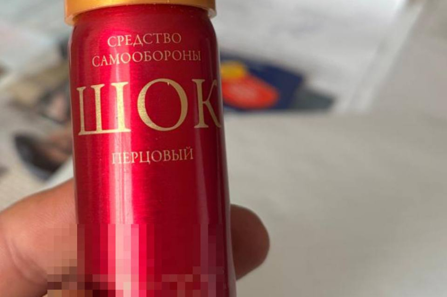 На Камчатке семиклассница распылила перцовый баллончик в школе. Фото: прокуратура Камчатского края