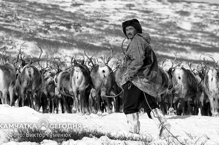 День образования Корякского округа на Камчатке. Фотоподборка. Фото: Виктор Гуменюк\ИА "Камчатка". Фотография 7