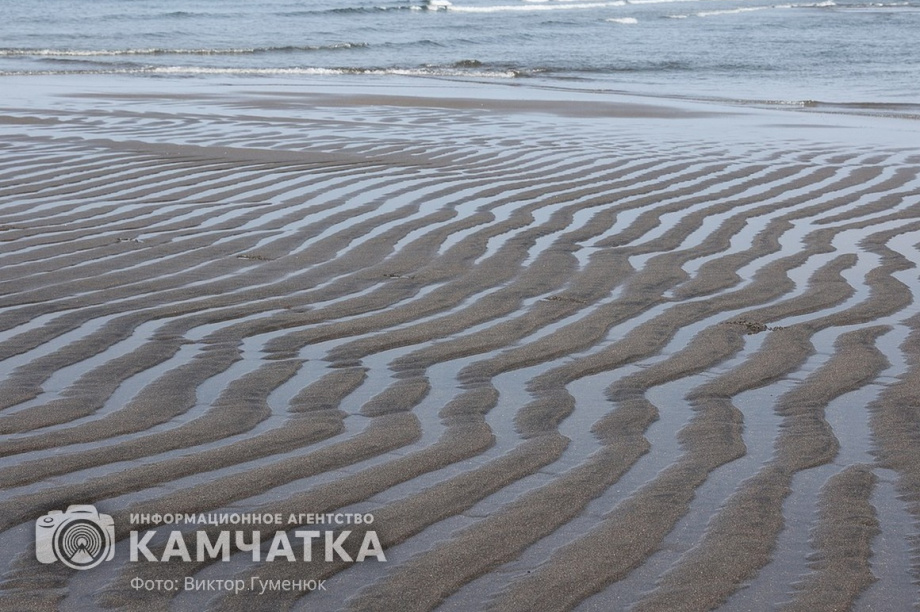 Заповедный берег юга Камчатки очистили от мусора. фото: Виктор Гуменюк. Фотография 27