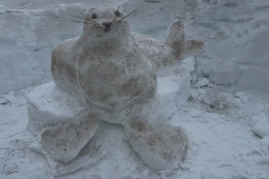 Жители Камчатки создали снежные скульптуры обитателей  местных заповедников. Фото: пресс-служба Кроноцкого заповедника. Фотография 15