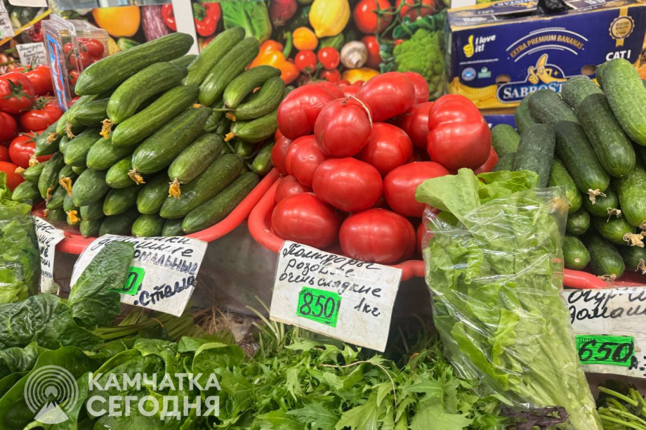 Торговые наценки на местные овощи и яйца ограничили на Камчатке . Фото: kamgov.ru