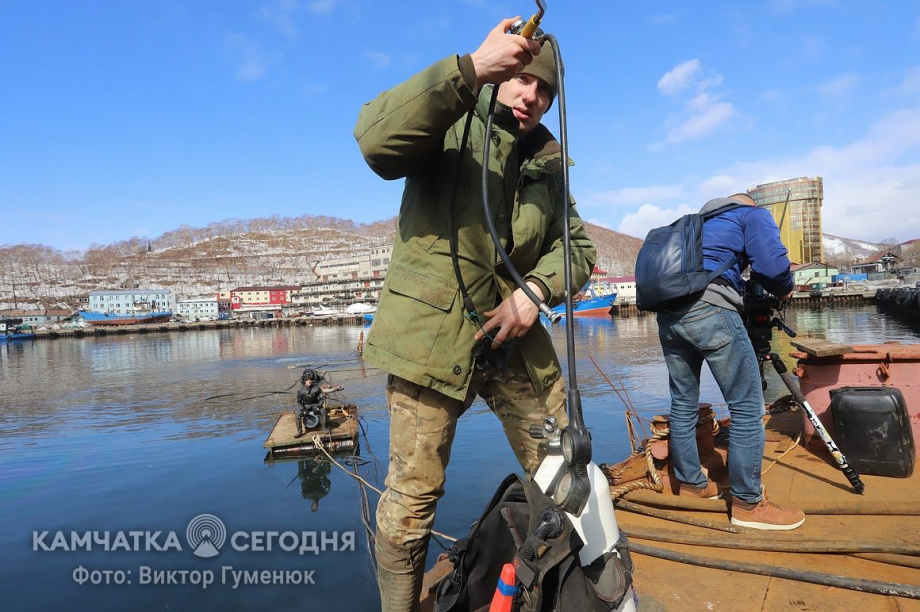 День водолаза. Фотоподборка. фото: Виктор Гуменюк/архив. Фотография 10