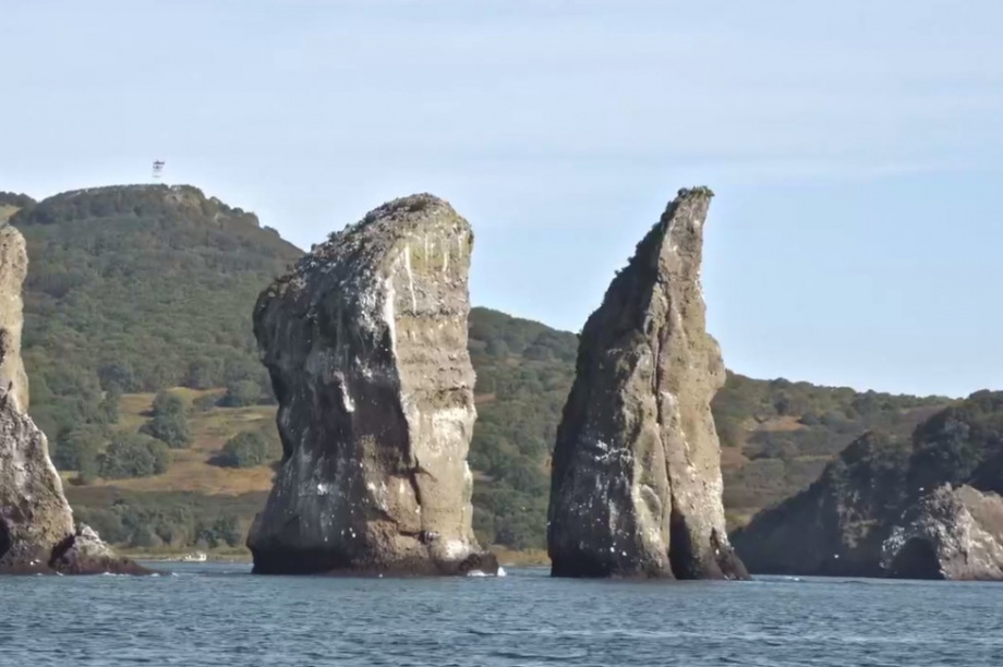 Романтика морской атмосферы и природы Камчатки. Фото: скрин видео Вячеслава Борисовского. Фотография 5