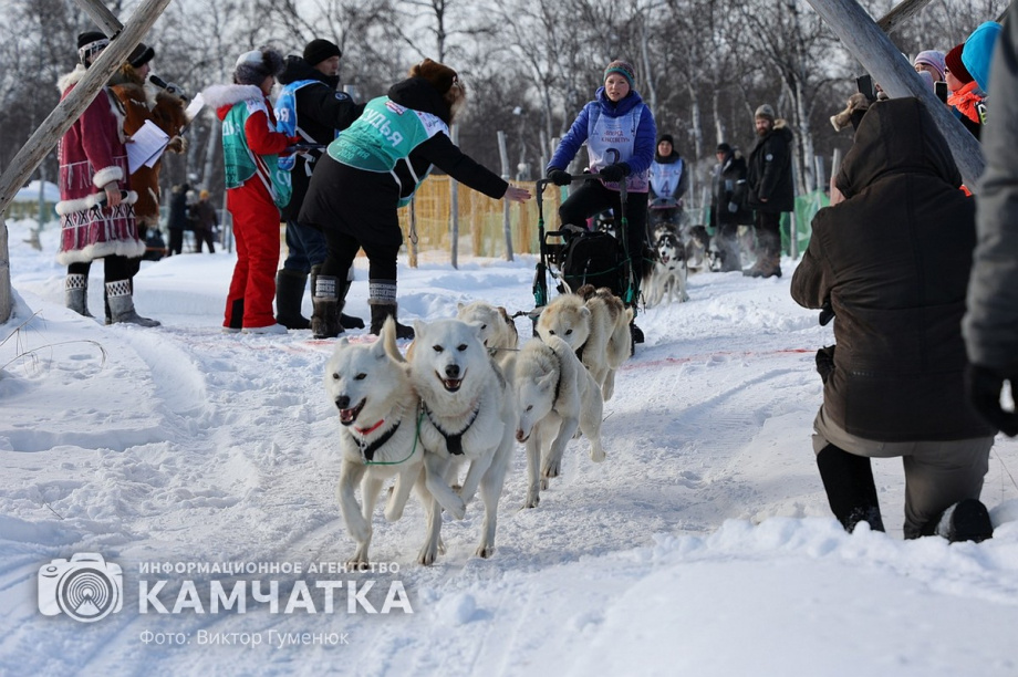 Гонка на собачьих упряжках «Хальч Тхсаном». Фоторепортаж  . Фото: Виктор Гуменюк. Фотография 18