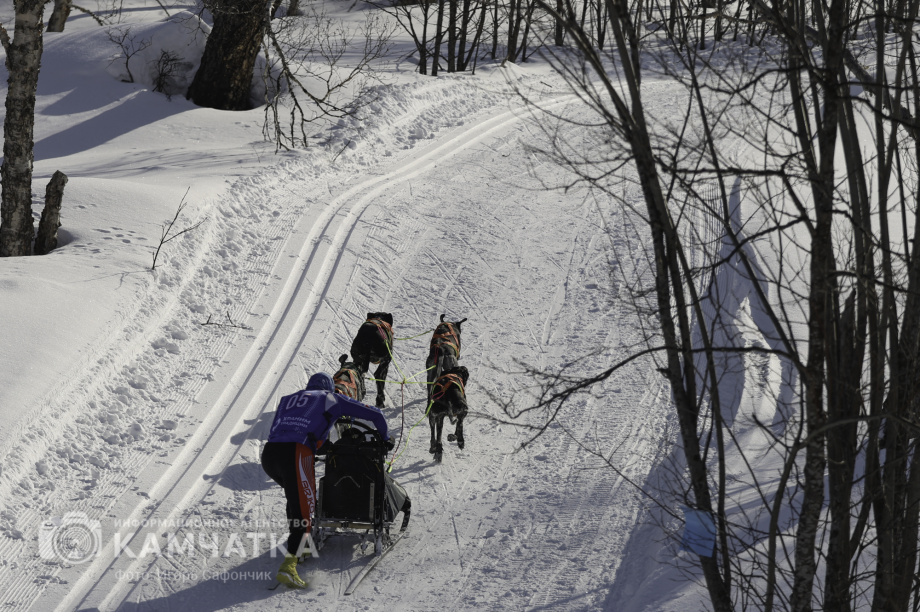 «Елизовский спринт» — 15 лет традиций и азарта!. Фото: «Камчатка Сегодня» \ Игорь Сафончик. Фотография 12