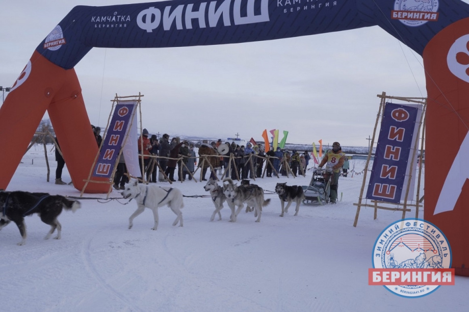 Каюр «Берингии» ночевал в тундре и снялся с гонки. Фото: Илья Мельников / информационное агентство "Камчатка". Фотография 2
