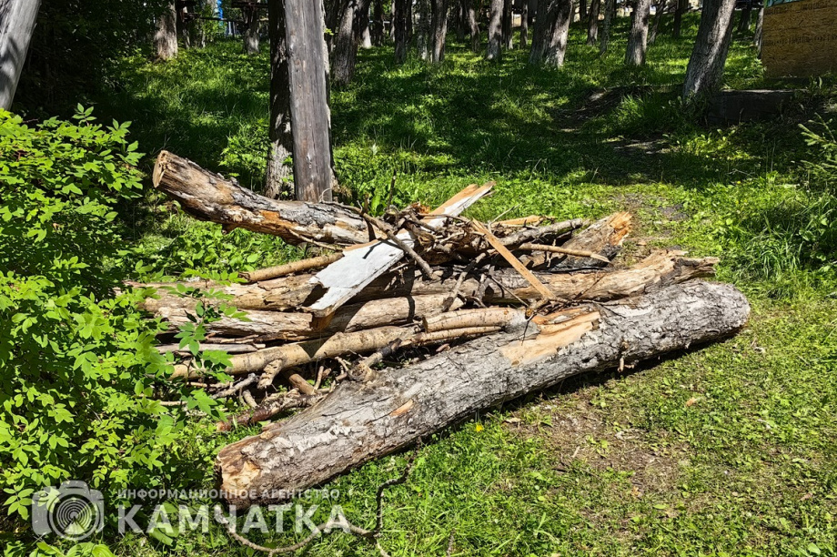 Молодежный субботник прошел в детском парке Петропавловска. фото: ИА "Камчатка". Фотография 21
