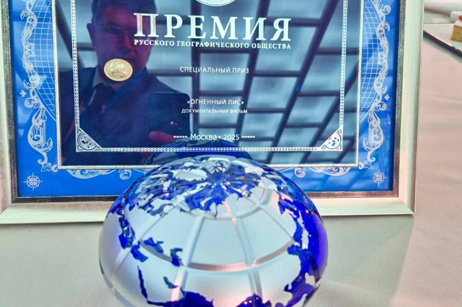 Камчатский «Огненный лис» получил премию Русского географического общества. Фото: телеграм-канал Шпиленок Фильм. Фотография 3