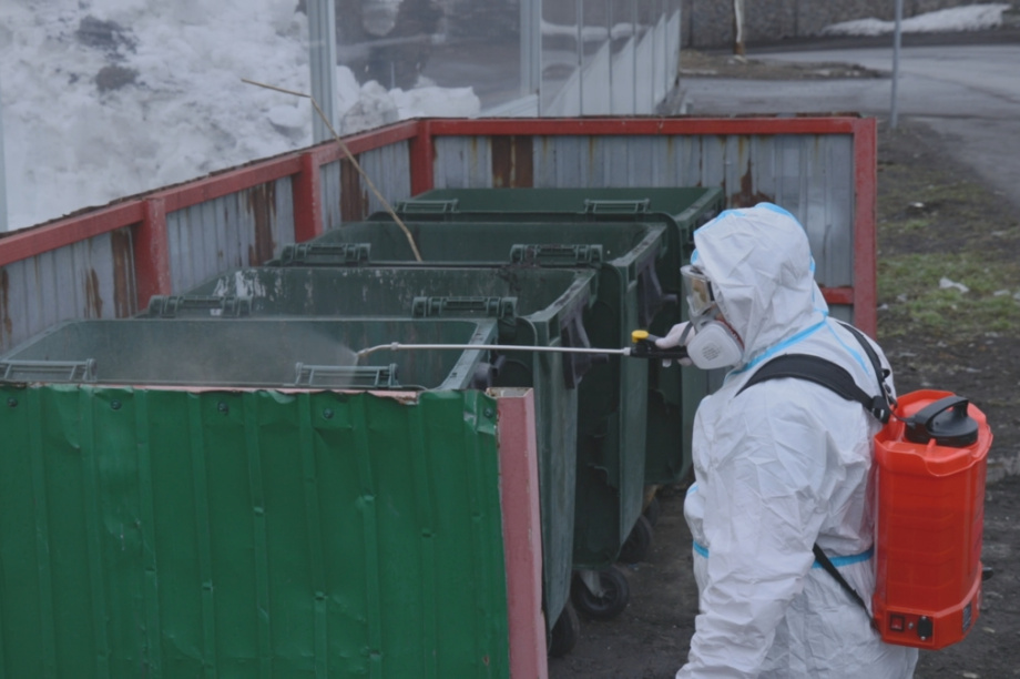 Крысам не рады: контейнерные площадки в Петропавловске-Камчатском обработали ядом. kamgov.ru. Фотография 1