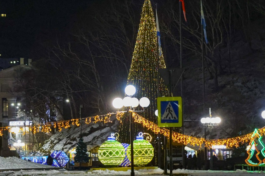 Камчатка активно готовится встретить Новый год. Фото: Виктор Гуменюк (архив)