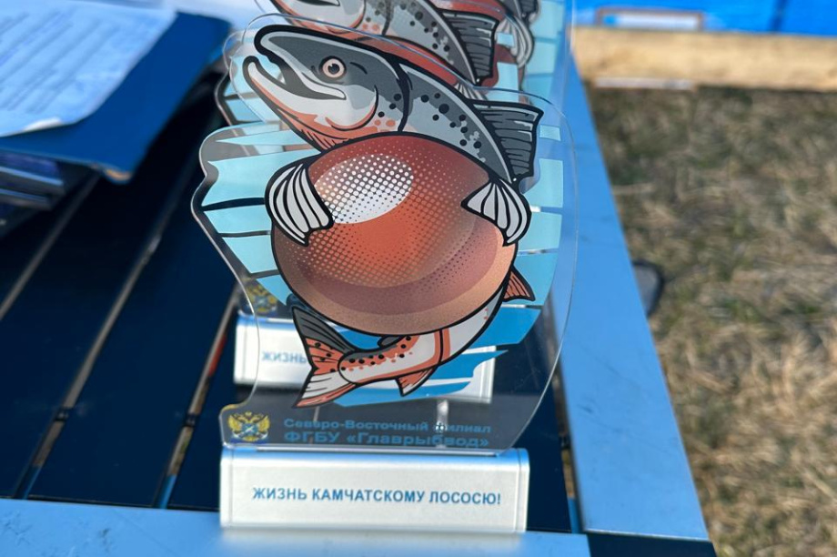 Выпускной для лососей прошёл на Камчатке . Главрыбвод. Фотография 8