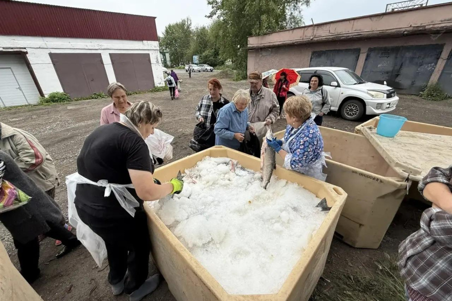 Рыбаки Камчатки бесплатно раздали 10 тонн лосося нуждающимся. Ассоциация "Река Большая". Фотография 1