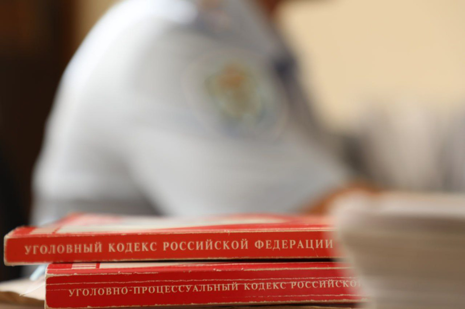 Камчатского педагога поймали на краже из бюджета 2,2 миллиона на детских пособиях. Фото: Полиция Камчатки, телеграм-канал