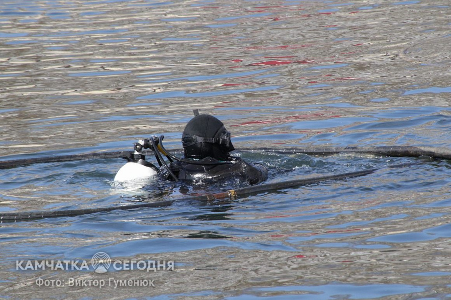 День водолаза. Фотоподборка. фото: Виктор Гуменюк/архив. Фотография 3