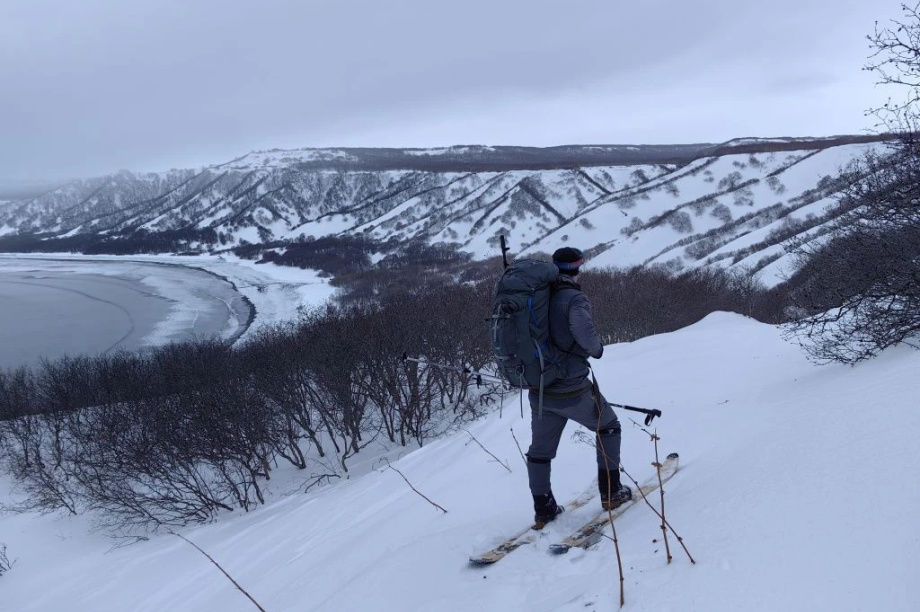 В Кроноцком заповеднике росомах стало больше, а зайцев — в 50 раз меньше. Фото: Дмитрий Балакирев, Евгения Волкова, Дмитрий Западалов. Фотография 4