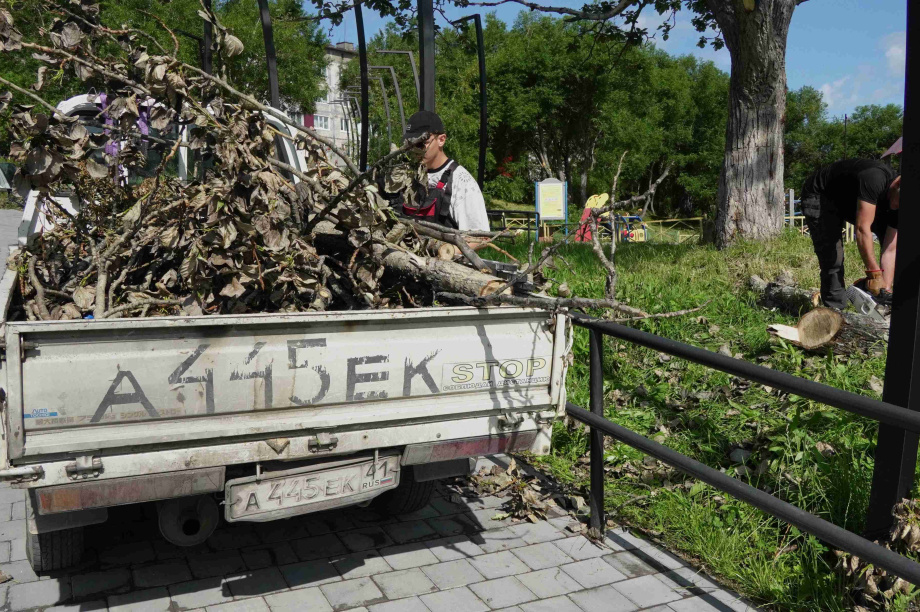 В сквере на Солнечной в Петропавловске-Камчатском убрали аварийные деревья. Фото: администрация ПКГО. Фотография 5