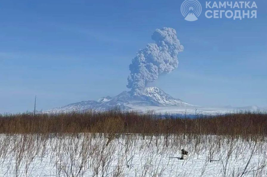 Вулкан Шивелуч на Камчатке выбросил пепел на 8 километров в высоту. Фото: ИА Камчатка