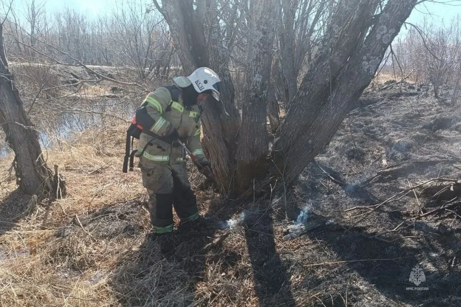 Пожароопасный сезон на Камчатке начнётся 1 мая, но первый пожар уже случился. Фото: ГУ МЧС