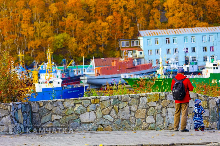 Золотая осень в столице Камчатки. Фоторепортаж. Фото: Виктор Гуменюк. Фотография 8