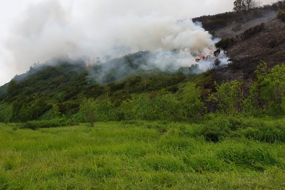 Природный пожар у поселка Палана на Камчатке охватил восемь гектаров. Фото: kamgov.ru