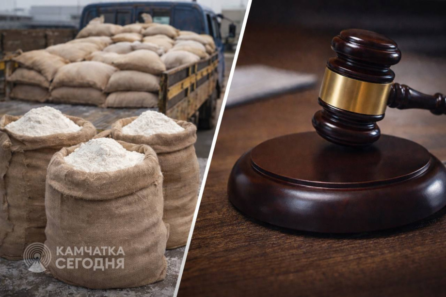 Главу камчатского хозяйства заподозрили в хищении 2,5 миллионов на доставку муки . Фото: ИИ