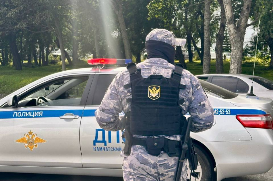 Шесть автомобилей вчера арестовали на Камчатке за долги по штрафам . Фото: УФССП по Камчатскому краю и Чукотскому округу. Фотография 7