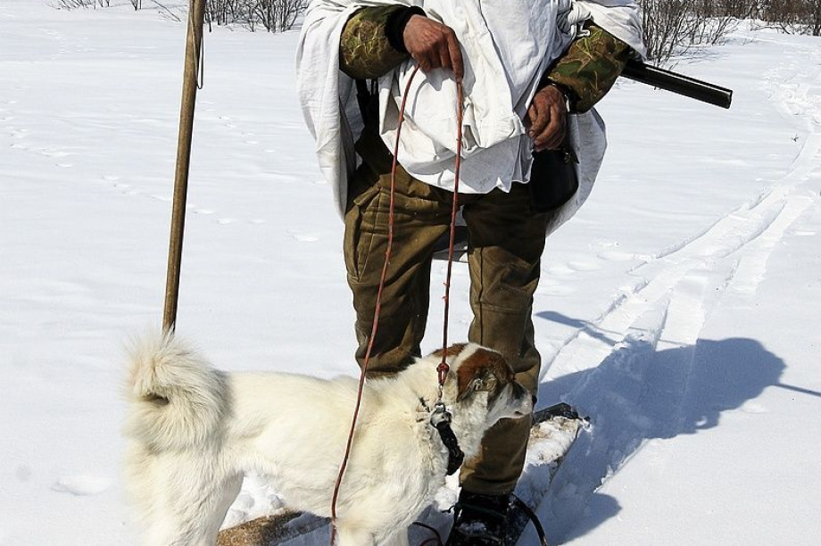 День рождения села Анавгай на Камчатке. Фотоподборка. Фото: архив/Виктор Гуменюк. Фотография 14