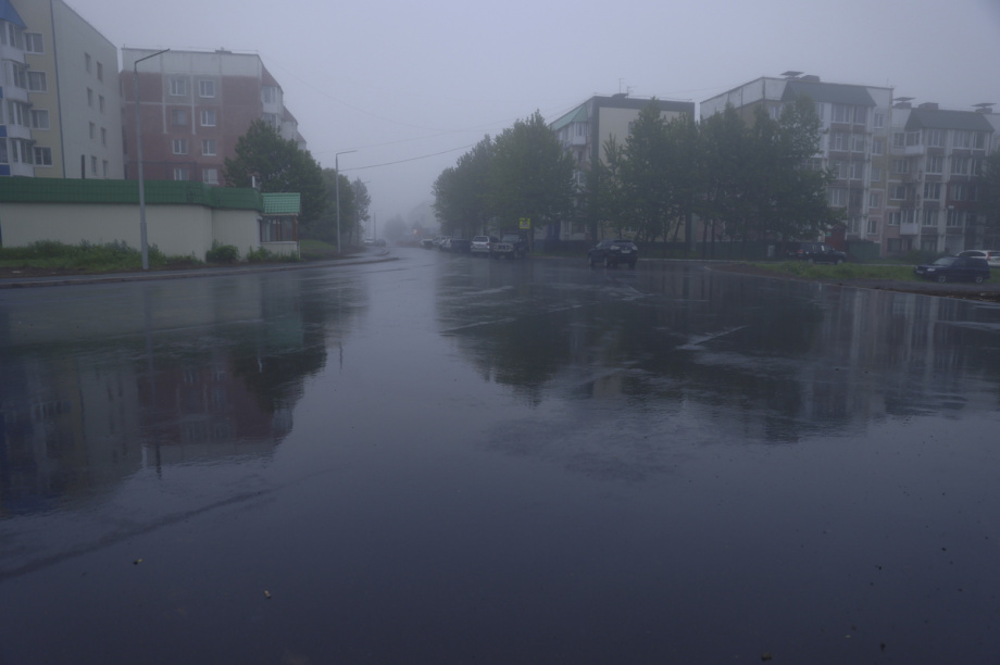 На улице Савченко в Петропавловске-Камчатском высадят рябины. Фото: Олеся Сурина, kamgov.ru. Фотография 2
