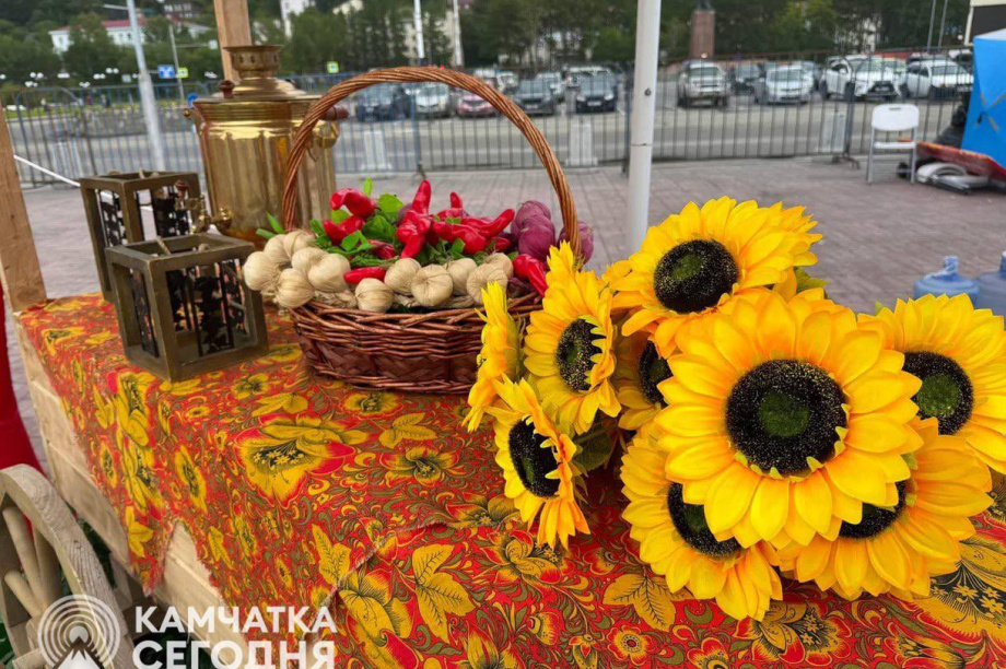 Бесплатно съездить в Елизово жители Петропавловска-Камчатского смогут в ближайшую субботу. . Фотография 1