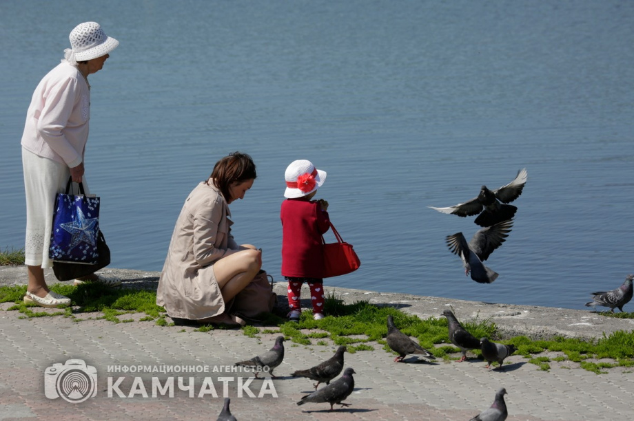 Единый реестр многодетных семей заработает на Камчатке с 1 июля. Фото: ИА "Камчатка"