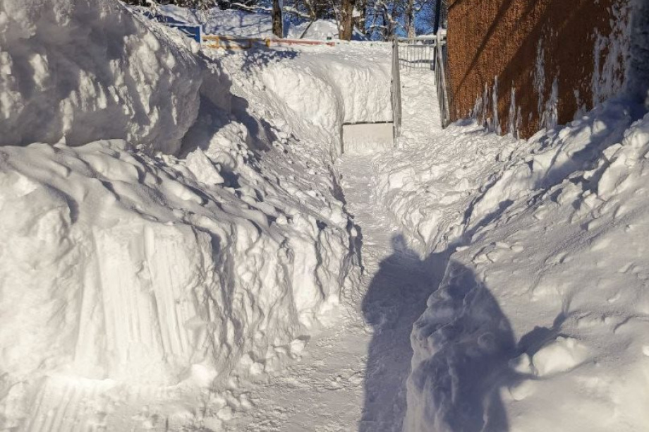 Военнослужащие Камчатки освободили детский сад от снежного плена. Фото: ТГ-канал Камчатский край. Правительство. Фотография 6