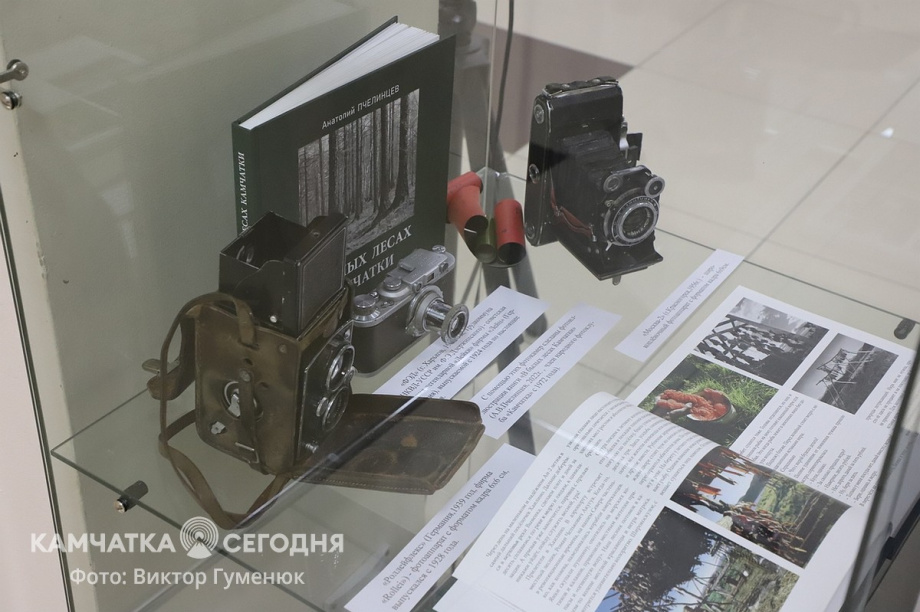 Итоговая выставка фотоклуба «Камчатка». Фоторепортаж. . Фотография 27