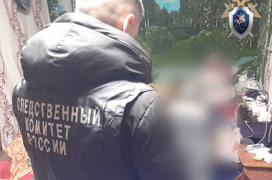 На Камчатке стали известны подробности сегодняшнего зверского убийства в Сосновке. Фото: Следственный комитет