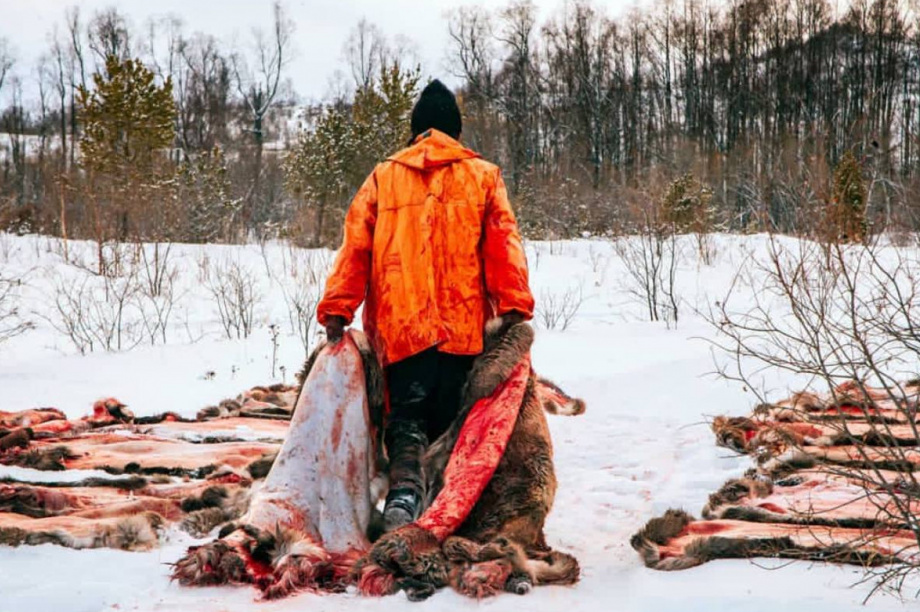  История и современность праздника оленеводов на Камчатке. Фото: тг. Камчатский север/Ася Ускова. Фотография 1
