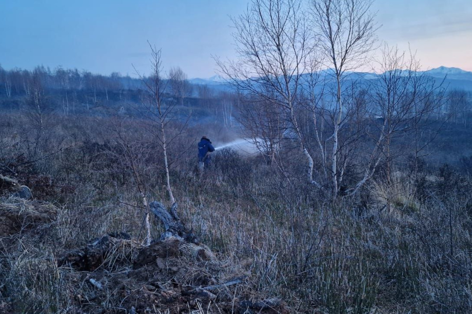 Пожар возле дачных поселков на Камчатке локализован. Фото: ГУ МЧС России по Камчатскому краю. Фотография 2