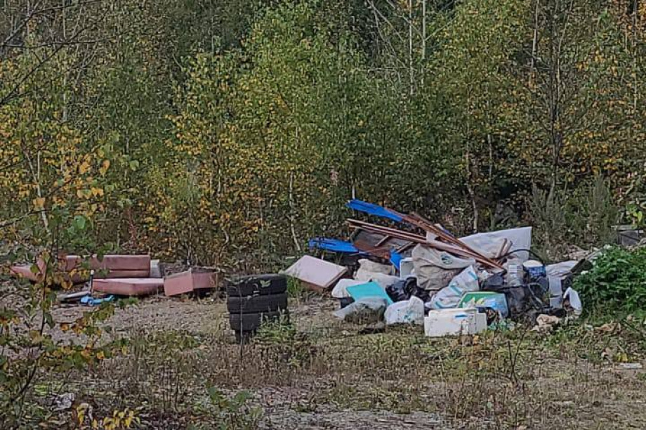  В лесополосе Елизовского района неизвестные устроили свалку. Фото: Экология Камчатка. Фотография 7