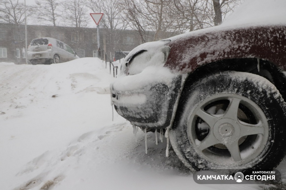 Заснеженный Петропавловск: фоторепортаж Виктора Гуменюка. Фото: Виктор Гуменюк. Фотография 16
