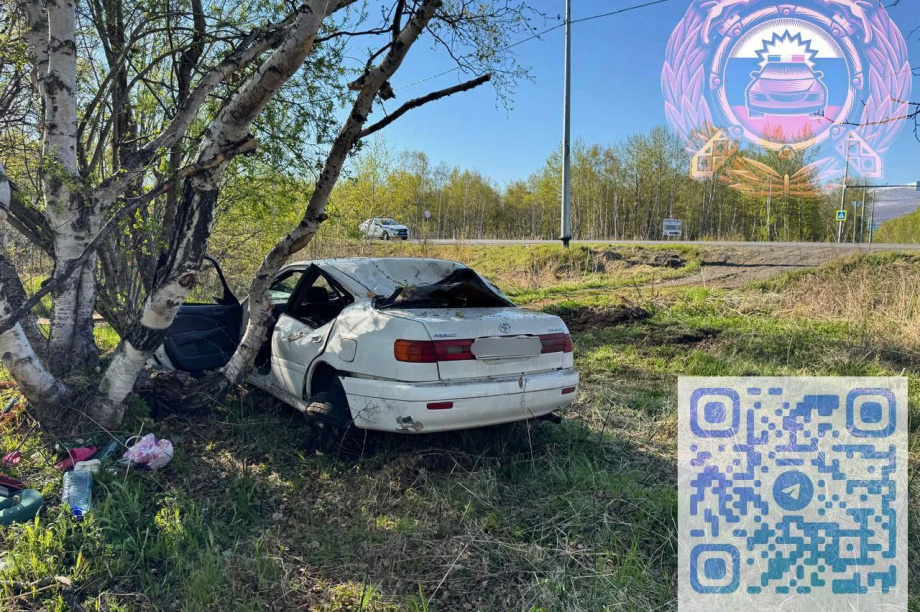 Камчатская автоледи в пьяном сне устроила ДТП на Мильковской трассе . Фото: Госавтоинспекция Камчатского края. Фотография 3